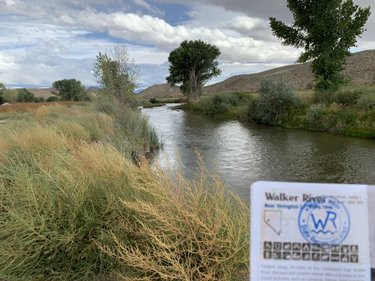 Walker River: ✅. 11/22 @NVStateParks in the books. This is Nevada’s newest state park and all I can say is wow. It is stunningly beautiful! @TravelNevada #SteveInParks #BattleBorn #NVLeg #HomeMeanaNevada https://t.co/CcjwA6uwu8