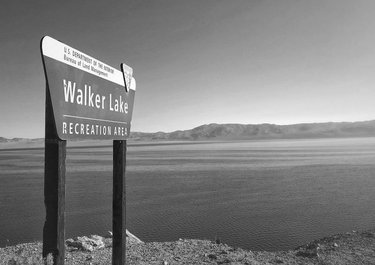 “Roadside View” Walker Lake is along Highway 95 between Hawthorne and Reno NV. This is from our Nevada Road Trip series in October 2018. We’ll share more from our series soon. - Cheers! David “You don’t take a photograph, you make it.” – Ansel Adams  #hollywood #publishedphotographer #published #goodyearazphotographer #travel #travelphotography #travelblogger #travelphotoblog #travelphotos #noir #gettyimages #retro #roadsideamerica #americana #blackandwhitephotography #blackandwhite #blackandwhitephoto #bw #bw_lover #bw_captures #bw_addiction #bw_society #monochrome #monochromatic #monochromephotography  #abandonednevada #coolasshit #myworldthroughlens #nevadaphotographer