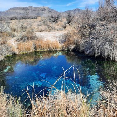 What a beautiful day at Ash Meadows! Never been? It's time you go! Plus they have pupfish which are tots adorbs. Yup there's fish in the desert!