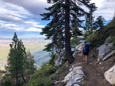 Tahoe Rim Trail
Day 1: 6/27/20
Mile 80.7 - 84.8

•Flight Hartford to Dallas
•Flight Dallas to Reno
•1 hr Uber from Steve to Tahoe Sports LTD for fuel (isobutane and Mexican cantina)
•Walked up Park St. past the CA  NA border to Van Sickle State Park and took the 3.2 mile Van Sickle Connector Trail up to mike 80.7 of the TRT
•Headed south on the TRT to walk clockwise around the lake with an expected resupply in Tahoe City in 5-6 days
•Took many pictures of the view of Carson Valley 
•Set up camp early at mile 84.8
•Noticed headaches potentially from altitude change
•Woke in the night to insane winds. Got up to save clothing drying on a line! 

#trt2020 #tahoerimtrail #hikecalifornia #hikenevada #thruhiking #backpacking #adventure #withguthooks #teamzpacks