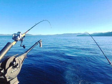 FINALLY got out on the lake for some fishing! 🎣 tahoesportfishing #shutupandfish