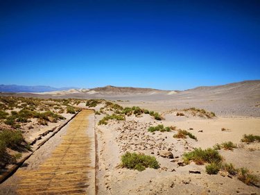 Death Valley NP. 💀🇺🇸
One of the best National Park in the West Coast!😍#deathvalley #deathvalleynp #dantesview #saltcreek #hot #hottest🔥 #unitestates #usa #arizona #utah #california #nevada #thanks #incredible_shot #incredible #route66 #travel #visitamerica #nofilter #photography #photooftheday #picoftheday