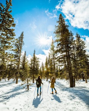 It’s almost time for a snow day in Lake Tahoe. Who’s coming snowshoeing with me this winter?
