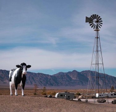 Don't have a cow ... when it comes to adventure, we'll never steer you wrong! Get on the mooooove to Amargosa Valley and the longstreet.inn.casino. The big bovine in the desert will be sure to greet you. 🐄 (📸: _josephoto)