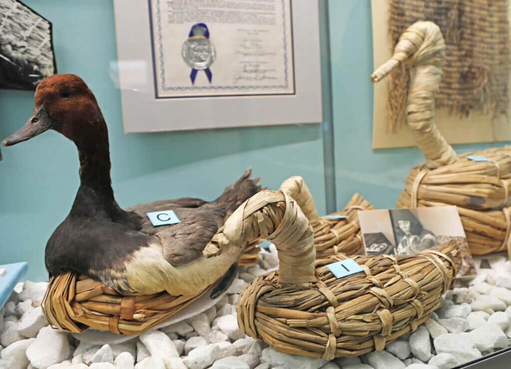 stuffed ducks at churchill county museum and archives