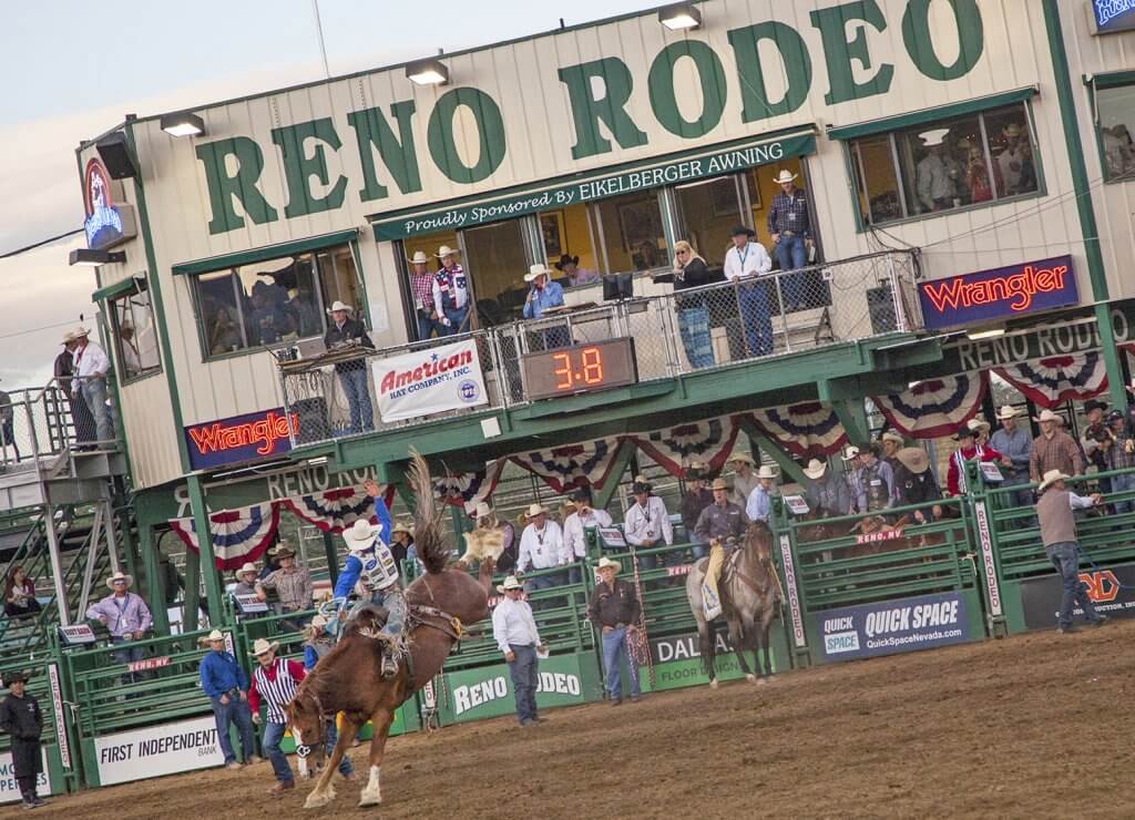 horse riding at the reno rodeo