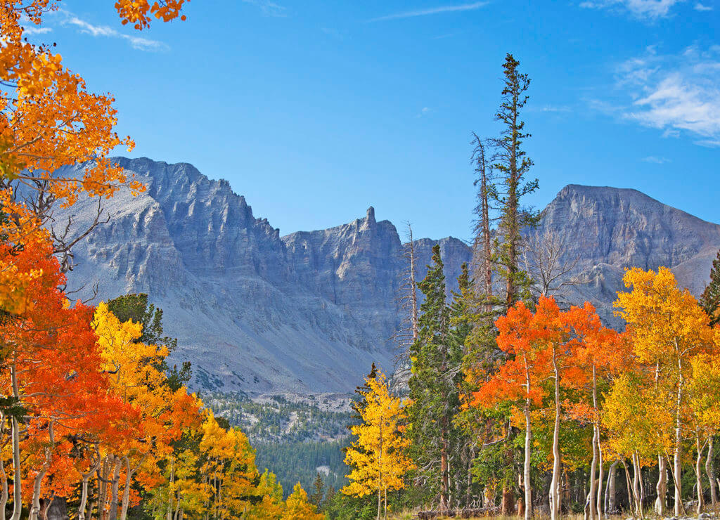 mountain range and fall trees in great basin national park