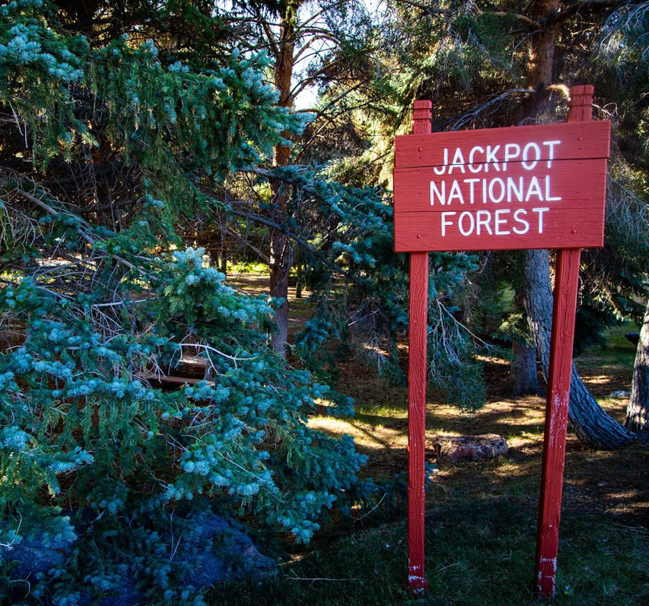 jackpot national forest