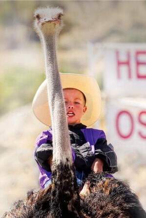 Kid riding Ostrich