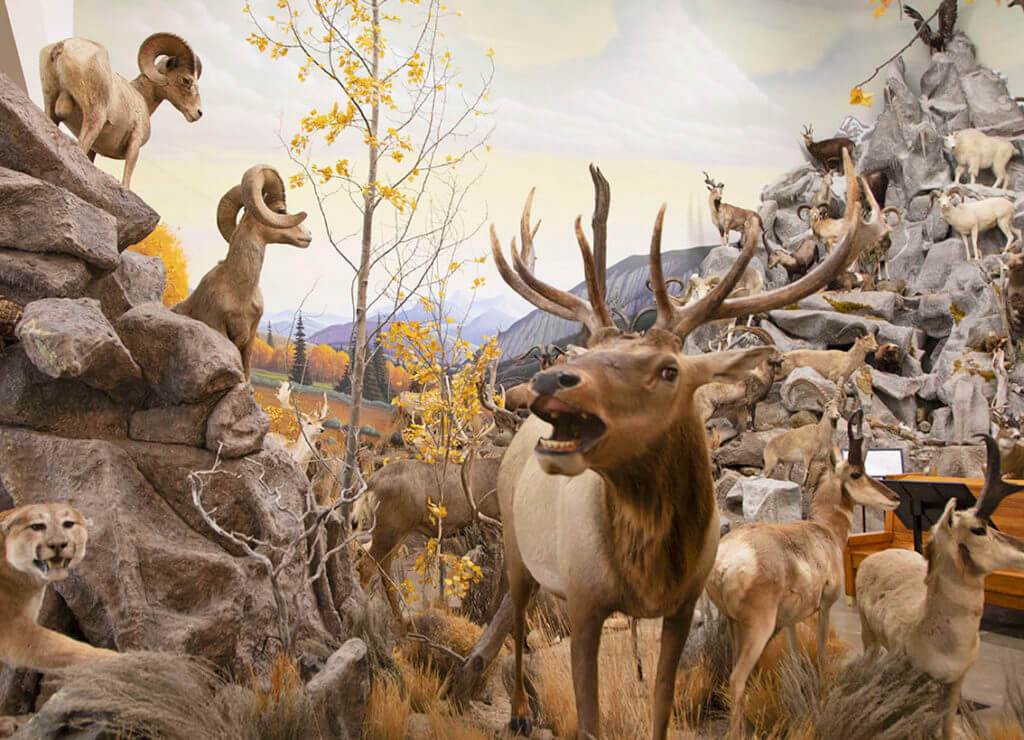 Northeastern Nevada Museum, Elko Museum, Nevada Museum
