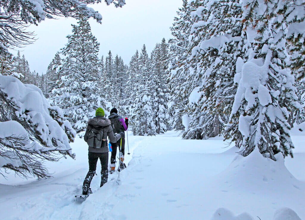 2 people snow shoeing in the mount rose wilderness area
