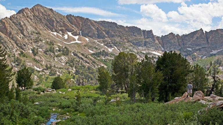 snowmelt in lamoille canyon & ruby mountains
