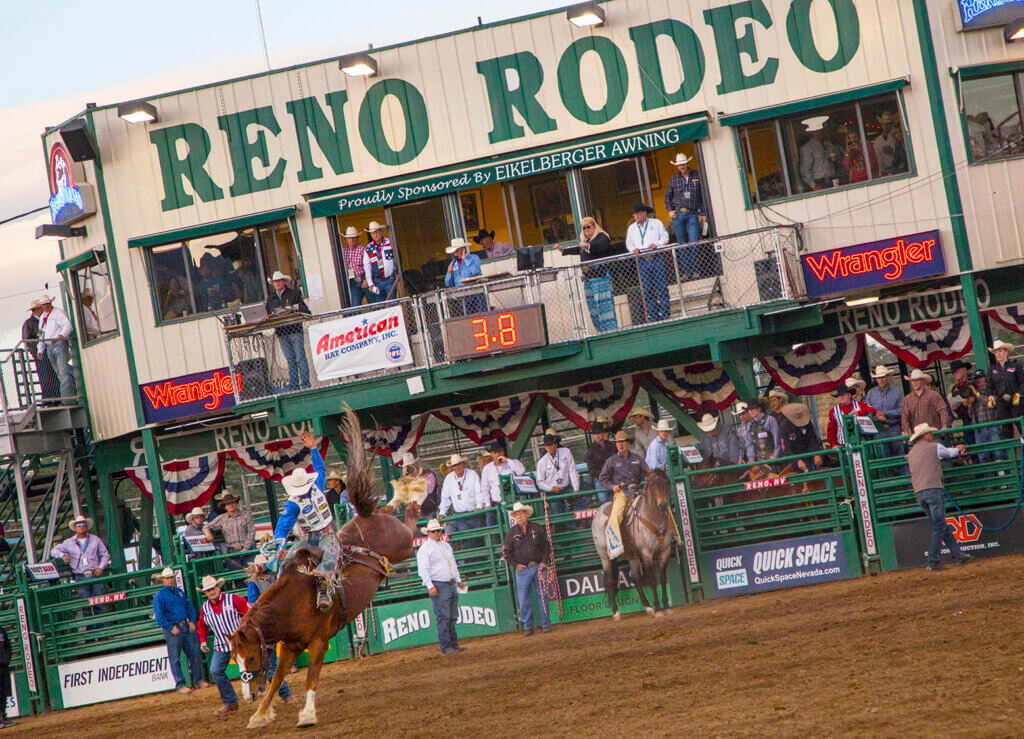 horse riding at the reno rodeo