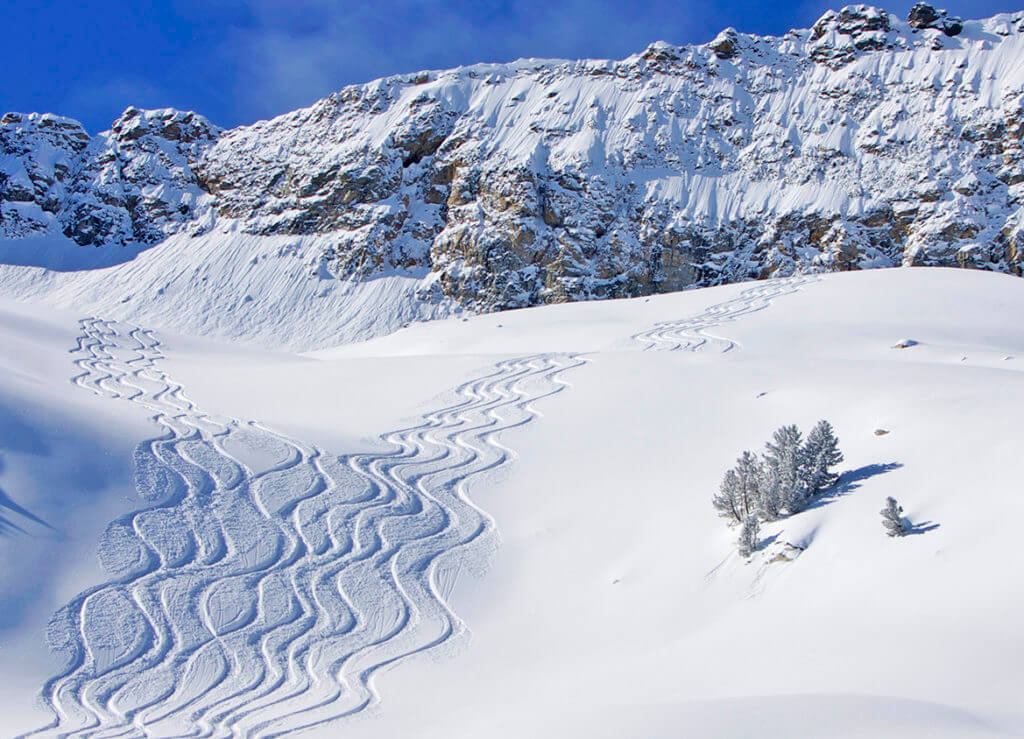 ski tracks in the ruby mountains