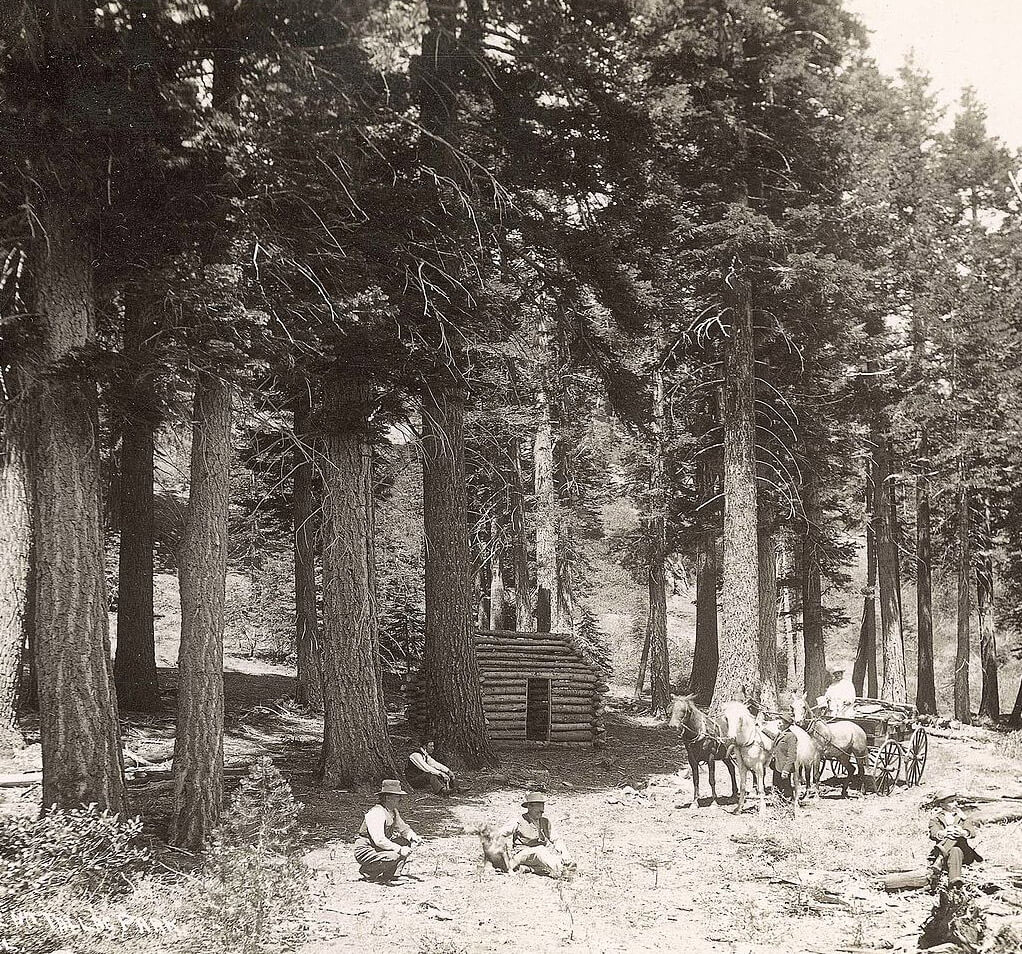 black and white photo of a horse drawn wagon in front of a log cabin